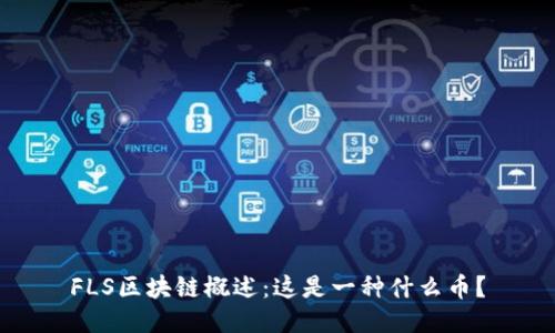 FLS区块链概述:这是一种什么币?