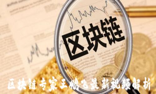 区块链专家王鹏飞最新视频解析