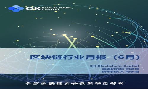 长沙区块链大咖最新动态解析