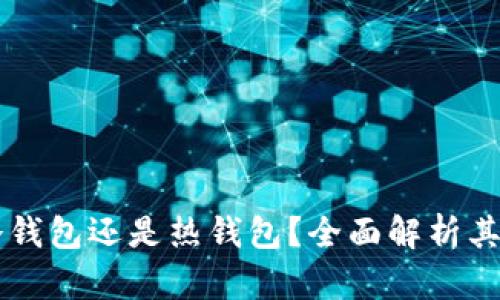 tpWallet是冷钱包还是热钱包?全面解析其安全性与功能