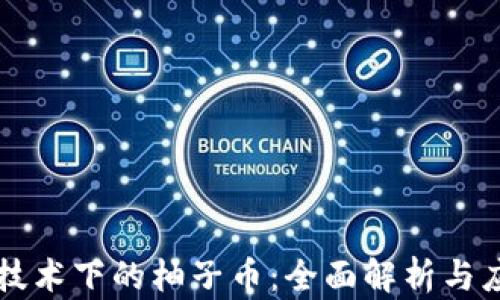 
区块链技术下的柚子币：全面解析与应用前景