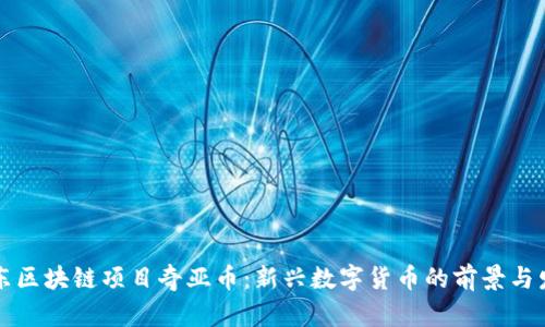 广东区块链项目奇亚币:新兴数字货币的前景与发展