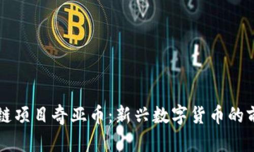 广东区块链项目奇亚币:新兴数字货币的前景与发展