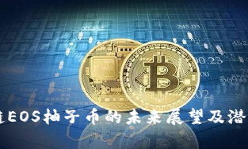 区块链EOS柚子币的未来展望及潜力分析