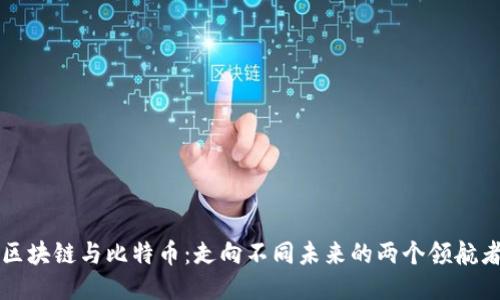 区块链与比特币：走向不同未来的两个领航者