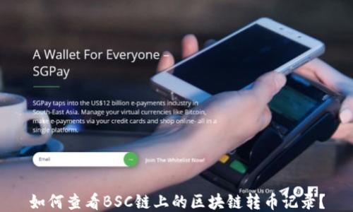 如何查看BSC链上的区块链转币记录?