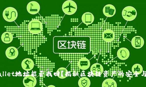 tpWallet地址能否找回?揭秘区块链资产的安全与恢复