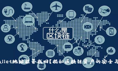 tpWallet地址能否找回?揭秘区块链资产的安全与恢复