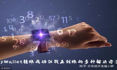 tpWallet转账成功但钱未到账的多种解决方案