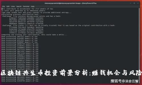 区块链共生币投资前景分析:赚钱机会与风险