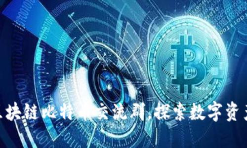 riaoti加入区块链比特币交流群,探索数字资产的无限可能