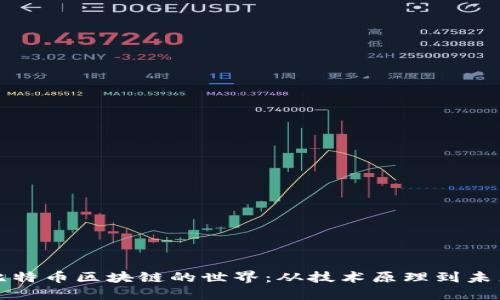 探索比特币区块链的世界：从技术原理到未来展望