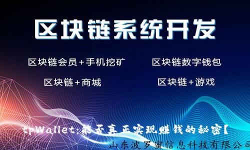 tpWallet:能否真正实现赚钱的秘密?