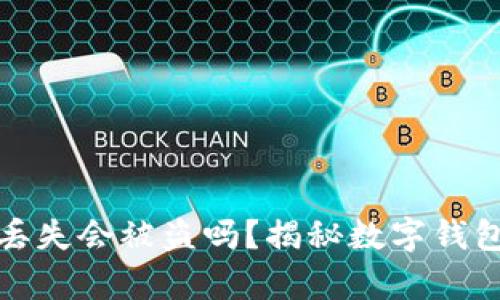 tpWallet丢失会被盗吗?揭秘数字钱包安全之道