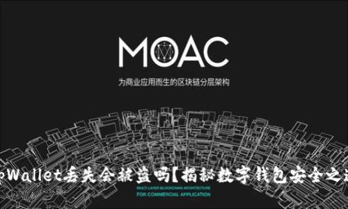 tpWallet丢失会被盗吗?揭秘数字钱包安全之道