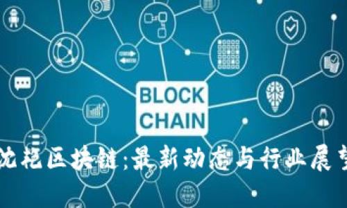 沈艳区块链:最新动态与行业展望